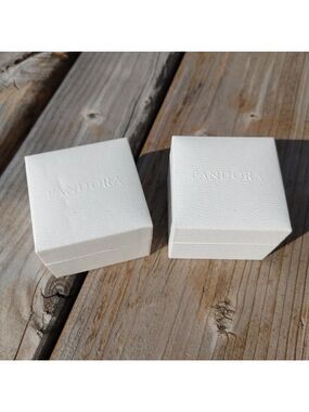 PANDORA BOX PAIR Pandora Charm Box Storage 15